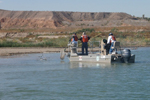 Electrofishing to collect fish samples