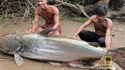The Elusive Giant Catfish 