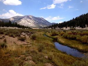 Image of the Kern Plateau